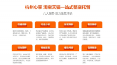 品牌供给专业的电商运营支撑